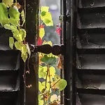 ペスカーロ アパート ベッラージョ