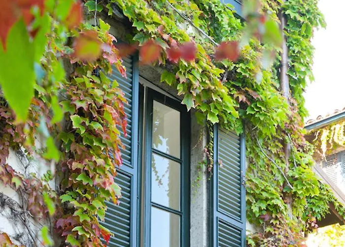Pescallo Apartamento